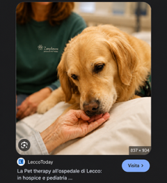 Momenti di conforto per pazienti e familiari nelle cure palliative